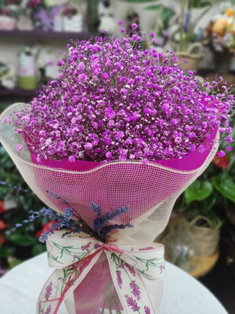 Nube de Gypsophilia de flores silvestres primaverales fucsia