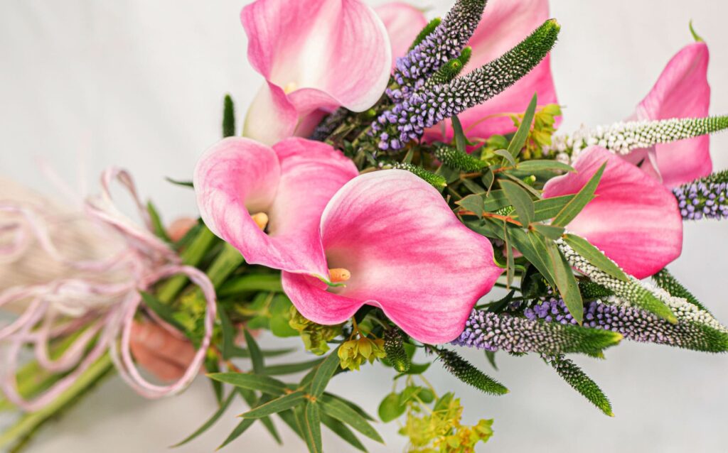 Consejos para mantener tus flores perfectas más tiempo