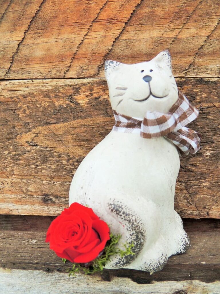 Figura de gato con rosa eterna roja