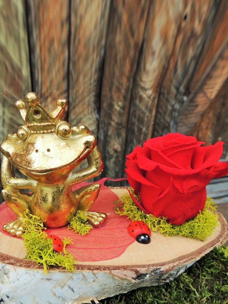 Ranita de la fortuna con rosa eterna roja
