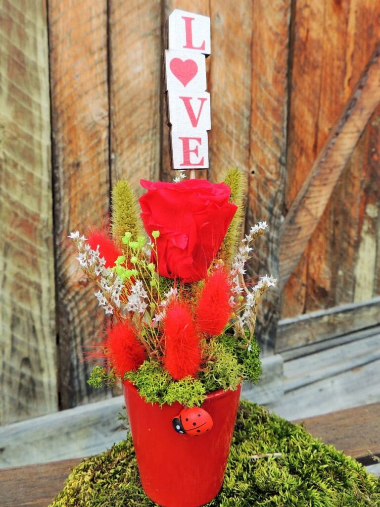 Rosa Amore, maceta con rosa eterna roja y flores variadas secas